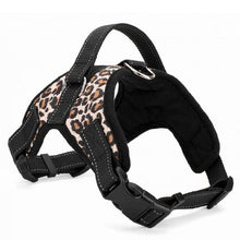 Load image into Gallery viewer, Nylon Heavy Duty Dog Pet Harness Collar Adjustable Padded Extra
